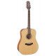 TAKAMINE GD20 NS