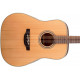 TAKAMINE GD20 NS