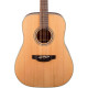 TAKAMINE GD20 NS