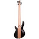 CORT C6 Plus ZBMH (Open Pore Tobacco Burst)