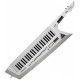 ROLAND AX-EDGE WHITE