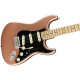 FENDER AMERICAN PERFORMER STRATOCASTER MN PENNY