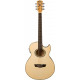 WASHBURN EA20