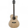 WASHBURN AG70CE