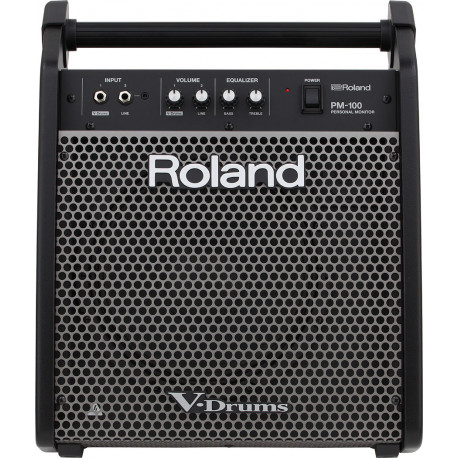 ROLAND PM100