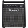 ROLAND PM100