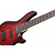 SCHECTER C-5 CUSTOM TCS