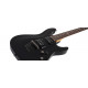 SCHECTER SGR C-1 BLK