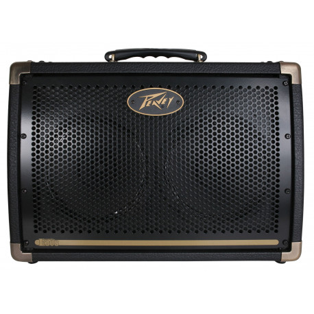 PEAVEY Ecoustic E208 Acoustic Amp Combo