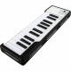 MIDI-клавиатура Arturia MicroLab BLACK