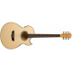 WASHBURN EA20 TS