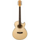 WASHBURN EA20 TS