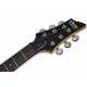 SCHECTER C-6 PLUS EM