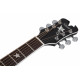 SCHECTER RS-1000 STAGE ACOUSTIC