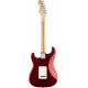 FENDER AMERICAN PROFESSIONAL STRATOCASTER RW CANDY APPLE RED