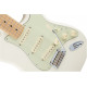 FENDER DELUXE ROADHOUSE STRATOCASTER MN OWT