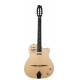 GODIN 047109 - MULTIAC GYPSY JAZZ WITH TRIC