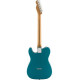 FENDER AMERICAN PROFESSIONAL TELE LTD ED RSTNK OCT