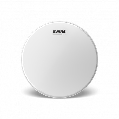 EVANS B10UV2 10" UV2 Coated