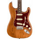 FENDER AMERICAN PROFESSIONAL STRAT LTD ROASTED ASH ROSEWOOD NECK