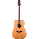 TAKAMINE GD20 NS