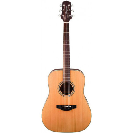 TAKAMINE GD20 NS