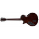 LTD EC-1000FM FLUENCE (Tiger Eye)