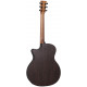 MARTIN GPC-X2E Rosewood