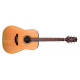 TAKAMINE GD20 NS