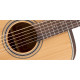 TAKAMINE GD20 NS