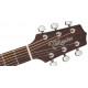 TAKAMINE GD20 NS