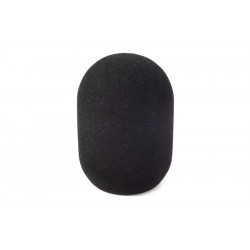 Rycote Large Diaphragm Mic Foam (45/100)