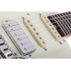 SCHECTER NICK JOHNSTON TRAD H/S/S ASNW