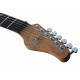 SCHECTER NICK JOHNSTON TRAD H/S/S AFST