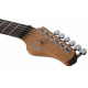 SCHECTER NICK JOHNSTON DS TRAD A.FROST