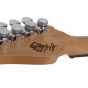 SCHECTER NICK JOHNSTON DS TRAD A.FROST