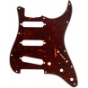 FENDER PICKGUARD STRATOCASTER S/S/S 11-HOLE VINTAGE MOUNT TORTOISE SHELL