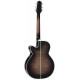 TAKAMINE EF450C-TT TBB